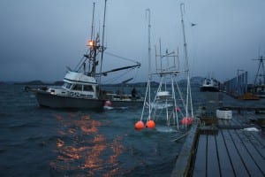 IMG_0009