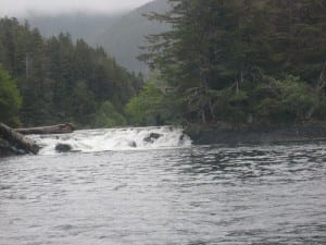 IMG_1207