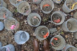 Sitkoh Fish Traps.jpg