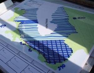 dvex transects