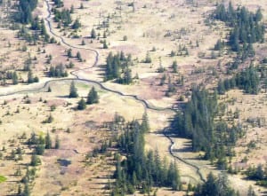 The Yakutat forelands just east of the city. Gold claims were staked for similar areas. Ed Schoenfeld/CoastAlaska News