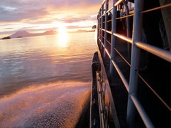 Raven Solstice Cruise