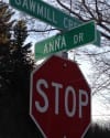 Anna_Drive
