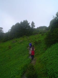 In summertime, the Mt. Verstovia bowl is a popular hiking trail. (Flickr photo/German Parra)