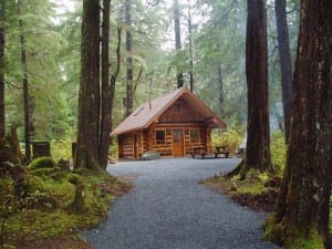 Starrigavan_Cabin