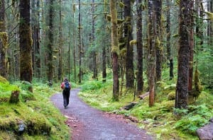 Sec. Vilsack's direction to produce a plan that is "ecologically, environmentally, and economically sustainable" is a significant challenge, as managers reckon with a forest that is huge, but also fragile. (Flickr photo, Joseph)