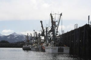 herring 2012