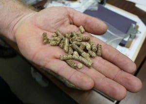 wood pellets