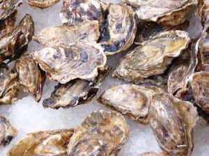 03 6-7-12 Oysters close