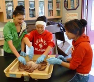 06 web 11-1-12 Octopus dissection 6 three students