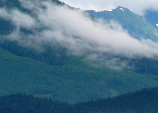 A logged area of Admiralty Island sandwiched between stands of old-growth forest regrows. Logging and environmental protection were among the issues the Tongass Futures Roundtable tried to address.