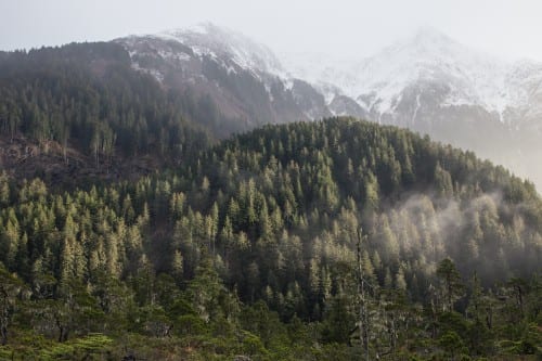 At 17 million acres, the Tongass National Forest, pictured here near Sitka, is the country's largest. (Photo by Mike Hicks)