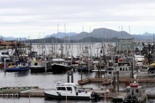 A forest of trolling poles in Sitka's ANB harbor, July 2015. (Rachel Waldholz/KCAW)