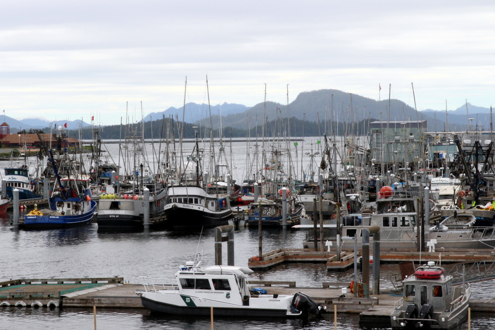 A forest of trolling poles in Sitka's ANB harbor, July 2015. (Rachel Waldholz/KCAW)