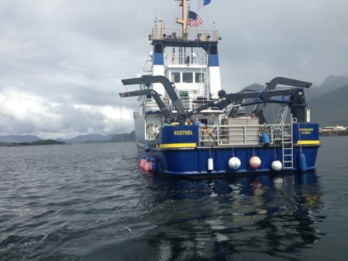The 105-foot Kestrel is one of two research vessels operated by the state in Southeast waters. It visits Sitka every spring to support the renown sac-roe herring fishery. (KCAW photo/Robert Woolsey)