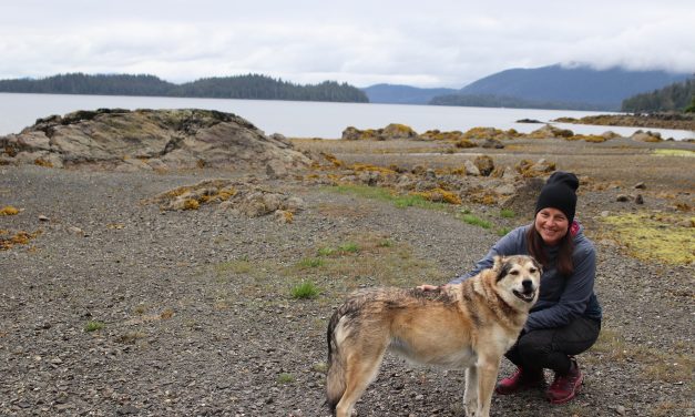 It’s not just people who need to worry about Paralytic Shellfish Poisoning, it’s their four-legged friends too